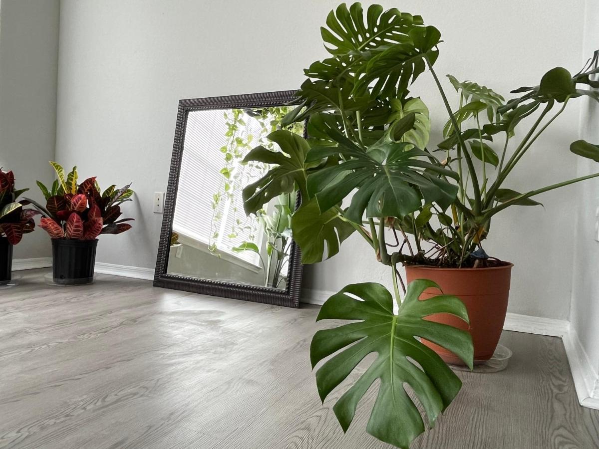 Next To Universal! 2Bedroom-2Bath-Many Indoor Plants Orlando Zewnętrze zdjęcie